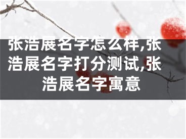 张浩展名字怎么样,张浩展名字打分测试,张浩展名字寓意