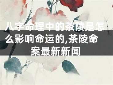 八字命理中的茶陵是怎么影响命运的,茶陵命案最新新闻