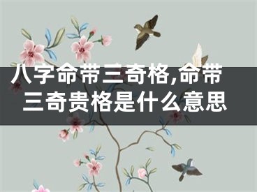 八字命带三奇格,命带三奇贵格是什么意思