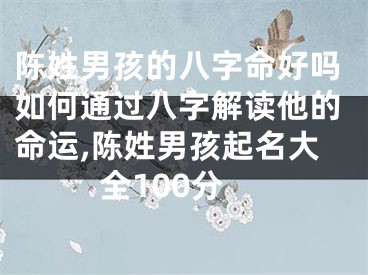 陈姓男孩的八字命好吗如何通过八字解读他的命运,陈姓男孩起名大全100分