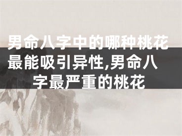 男命八字中的哪种桃花最能吸引异性,男命八字最严重的桃花