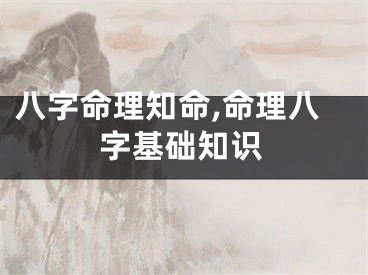 八字命理知命,命理八字基础知识