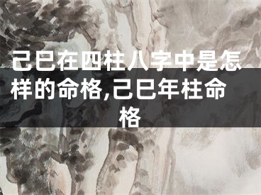 己巳在四柱八字中是怎样的命格,己巳年柱命格