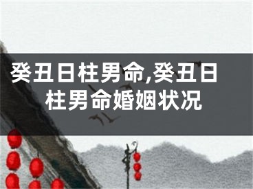 癸丑日柱男命,癸丑日柱男命婚姻状况