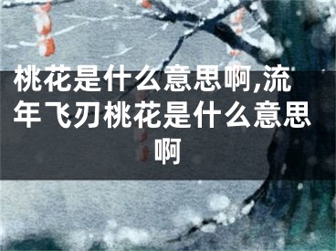 桃花是什么意思啊,流年飞刃桃花是什么意思啊