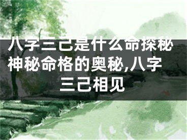 八字三己是什么命探秘神秘命格的奥秘,八字三己相见