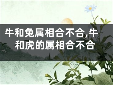 牛和兔属相合不合,牛和虎的属相合不合