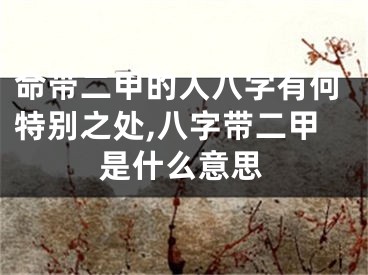 命带二甲的人八字有何特别之处,八字带二甲是什么意思