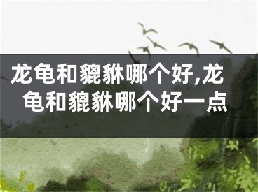 龙龟和貔貅哪个好,龙龟和貔貅哪个好一点