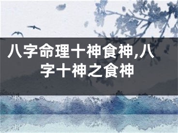 八字命理十神食神,八字十神之食神