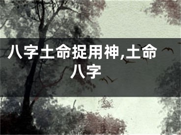 八字土命捉用神,土命 八字