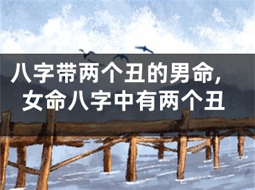 八字带两个丑的男命,女命八字中有两个丑