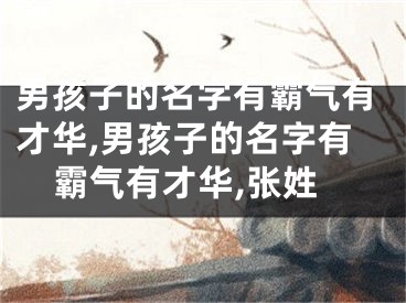 男孩子的名字有霸气有才华,男孩子的名字有霸气有才华,张姓