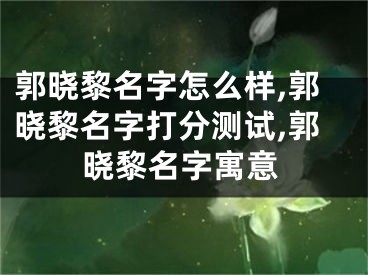 郭晓黎名字怎么样,郭晓黎名字打分测试,郭晓黎名字寓意