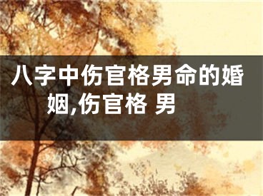 八字中伤官格男命的婚姻,伤官格 男