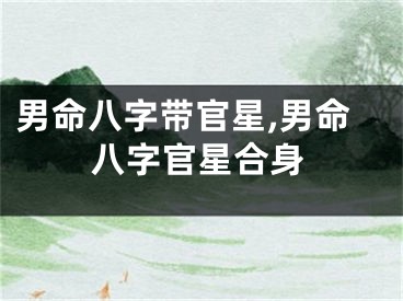 男命八字带官星,男命八字官星合身
