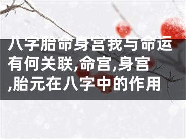 八字胎命身宫我与命运有何关联,命宫,身宫,胎元在八字中的作用