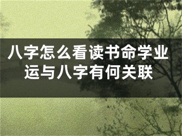 八字怎么看读书命学业运与八字有何关联