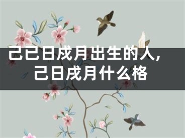己已日戍月出生的人,己日戌月什么格