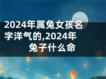 2024年属兔女孩名字洋气的,2024年兔子什么命