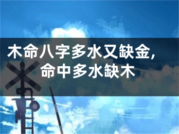 木命八字多水又缺金,命中多水缺木
