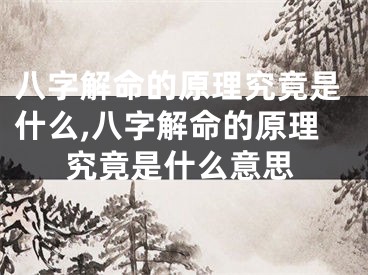 八字解命的原理究竟是什么,八字解命的原理究竟是什么意思