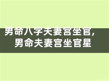 男命八字夫妻宫坐官,男命夫妻宫坐官星