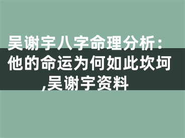 吴谢宇八字命理分析:他的命运为何如此坎坷,吴谢宇资料