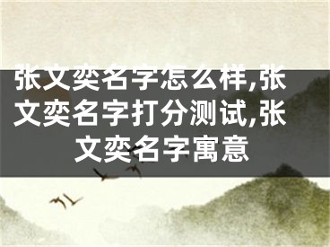 张文奕名字怎么样,张文奕名字打分测试,张文奕名字寓意