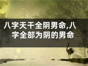 八字天干全阴男命,八字全部为阴的男命