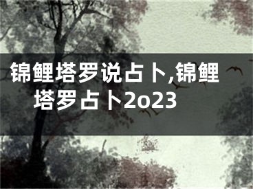 锦鲤塔罗说占卜,锦鲤塔罗占卜2o23