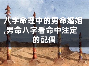八字命理中的男命婚姻,男命八字看命中注定的配偶