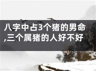八字中占3个猪的男命,三个属猪的人好不好