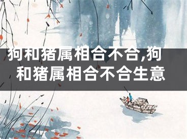 狗和猪属相合不合,狗和猪属相合不合生意