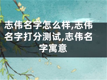 志伟名字怎么样,志伟名字打分测试,志伟名字寓意
