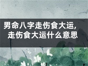 男命八字走伤食大运,走伤食大运什么意思