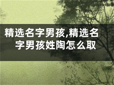 精选名字男孩,精选名字男孩姓陶怎么取