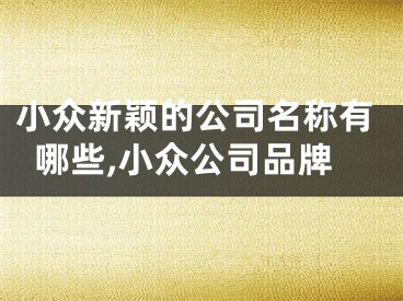 小众新颖的公司名称有哪些,小众公司品牌