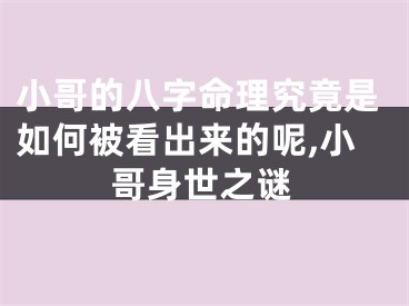 小哥的八字命理究竟是如何被看出来的呢,小哥身世之谜