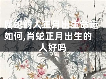 属蛇的人正月出生命运如何,肖蛇正月出生的人好吗