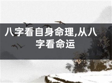 八字看自身命理,从八字看命运