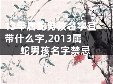13年属蛇男孩名字宜带什么字,2013属蛇男孩名字禁忌