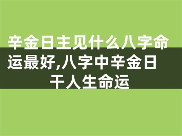 辛金日主见什么八字命运最好,八字中辛金日干人生命运