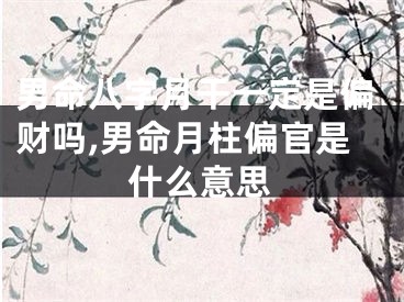 男命八字月干一定是偏财吗,男命月柱偏官是什么意思