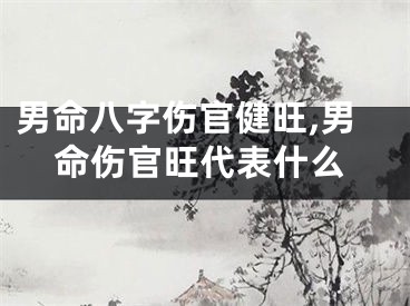 男命八字伤官健旺,男命伤官旺代表什么