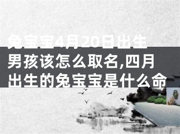 兔宝宝4月20日出生男孩该怎么取名,四月出生的兔宝宝是什么命