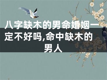 八字缺木的男命婚姻一定不好吗,命中缺木的男人