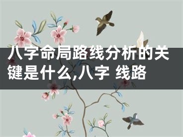 八字命局路线分析的关键是什么,八字 线路