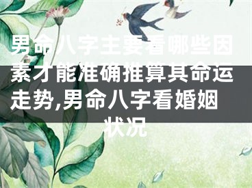 男命八字主要看哪些因素才能准确推算其命运走势,男命八字看婚姻状况