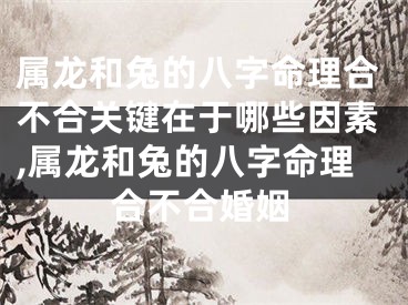 属龙和兔的八字命理合不合关键在于哪些因素,属龙和兔的八字命理合不合婚姻